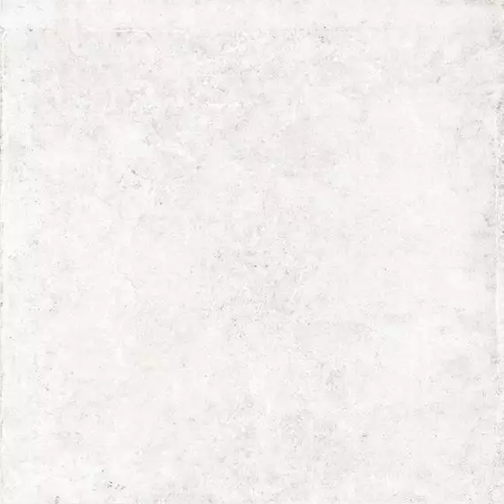 V5590694 Ocean Caliza 59.6x59.6