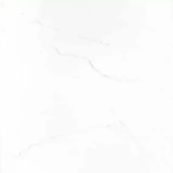 V55907521 Praga White 58,6x58,6