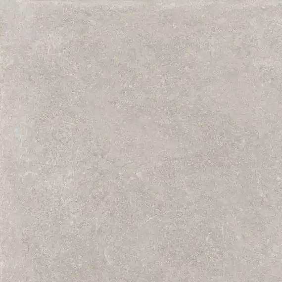 V55909391 Verbier Silver 59.6x59.6