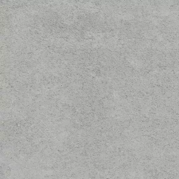 V57000271 Cosmos 80x80