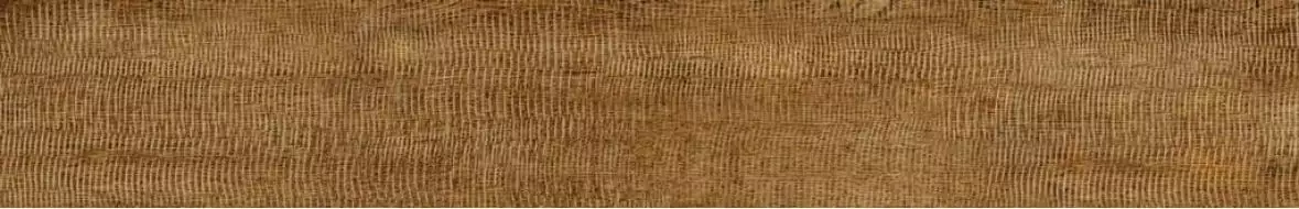 V59200501 Alaska Natural 19.3x120
