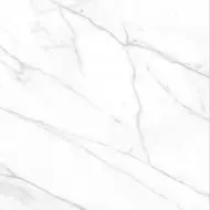 VARENNA CARRARA Nat.Rect. compacglass 60*60