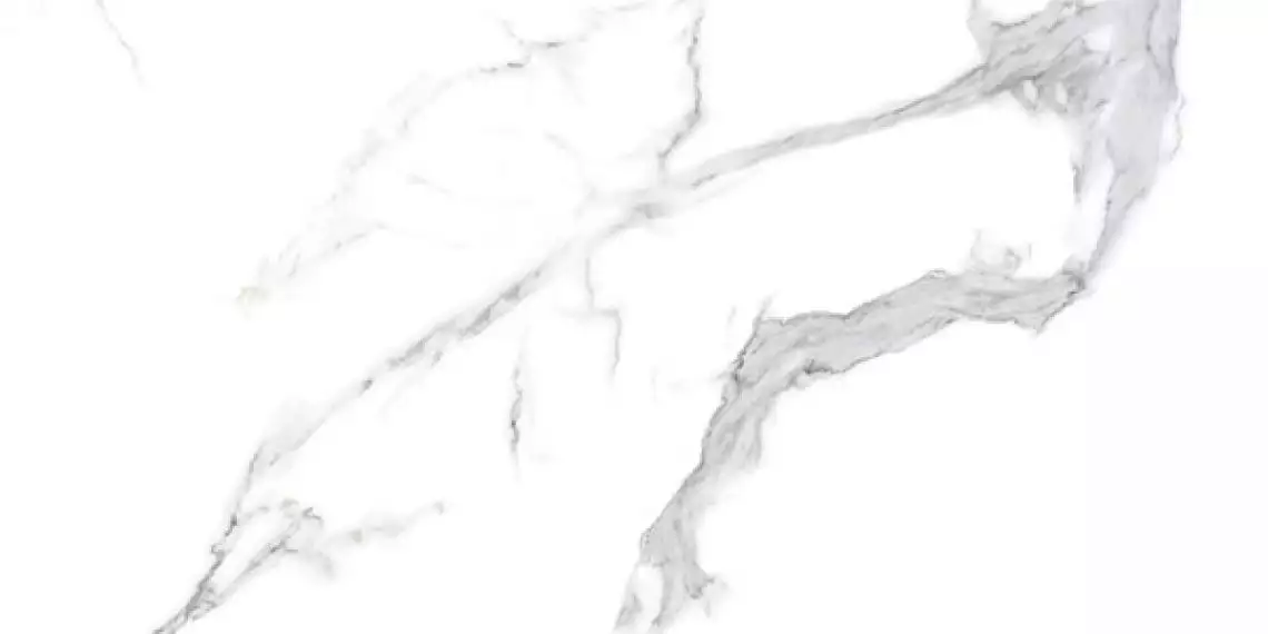 VELO Bianco Polished 60x120