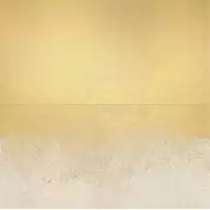 VIS6 DK 120A 120x120