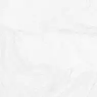 Varana Blanco 45х45