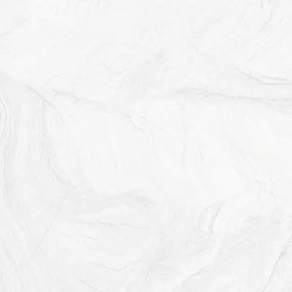 Varana Blanco 45х45