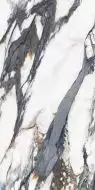 Vary Dark polished 60x120
