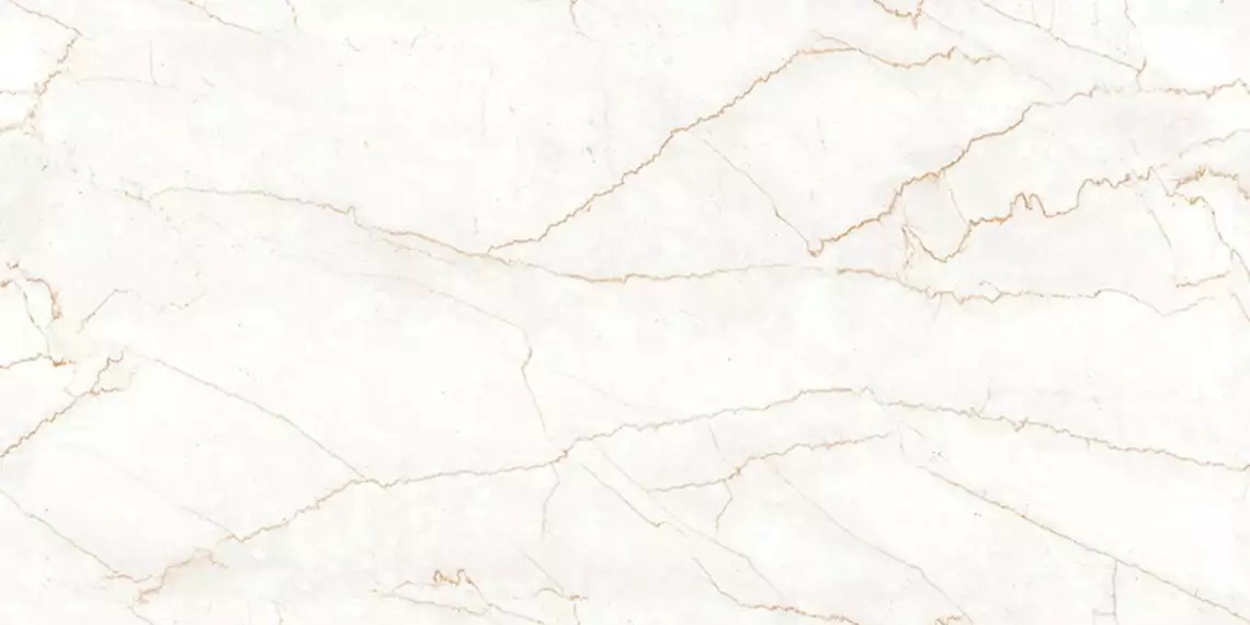 Velvet Bottochino Natural Polished 60х120
