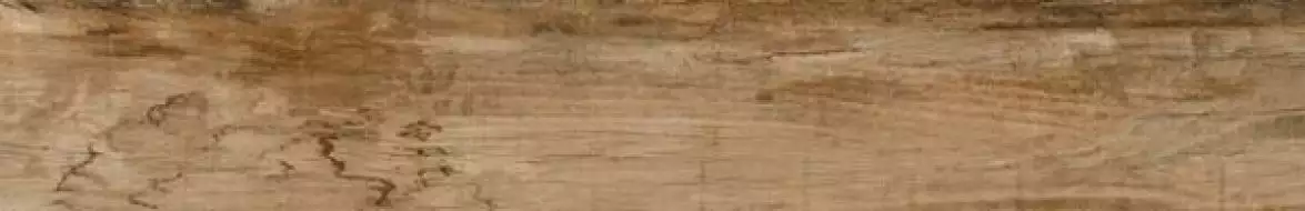 Veneto-R Canela 19.2x119.3