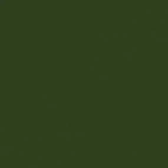 Verde Botella Brillo 20*20