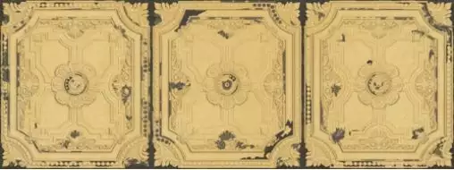 Victorian Yellow Nova 44.63 x 119.3