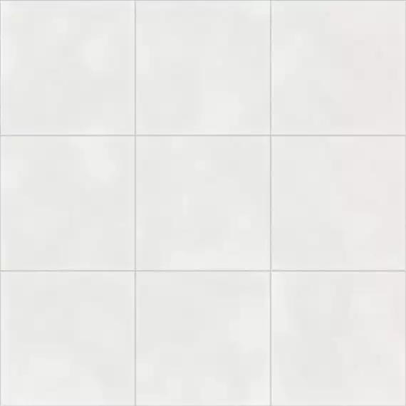 Vienna White Natural R10 59.2х59.2