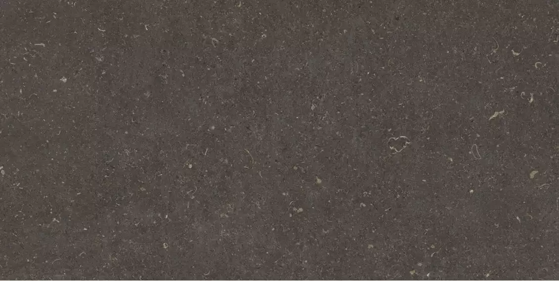 Vincen Anthracite 60x120