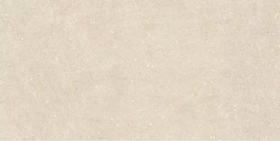 Vincen Bone 60x120