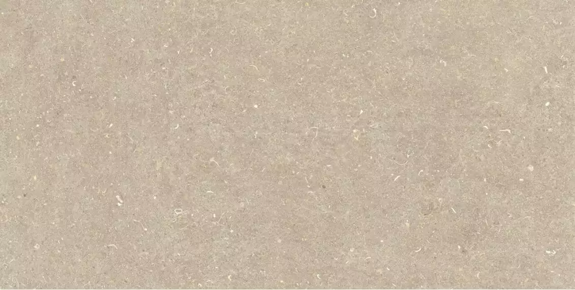 Vincen Mud 60x120
