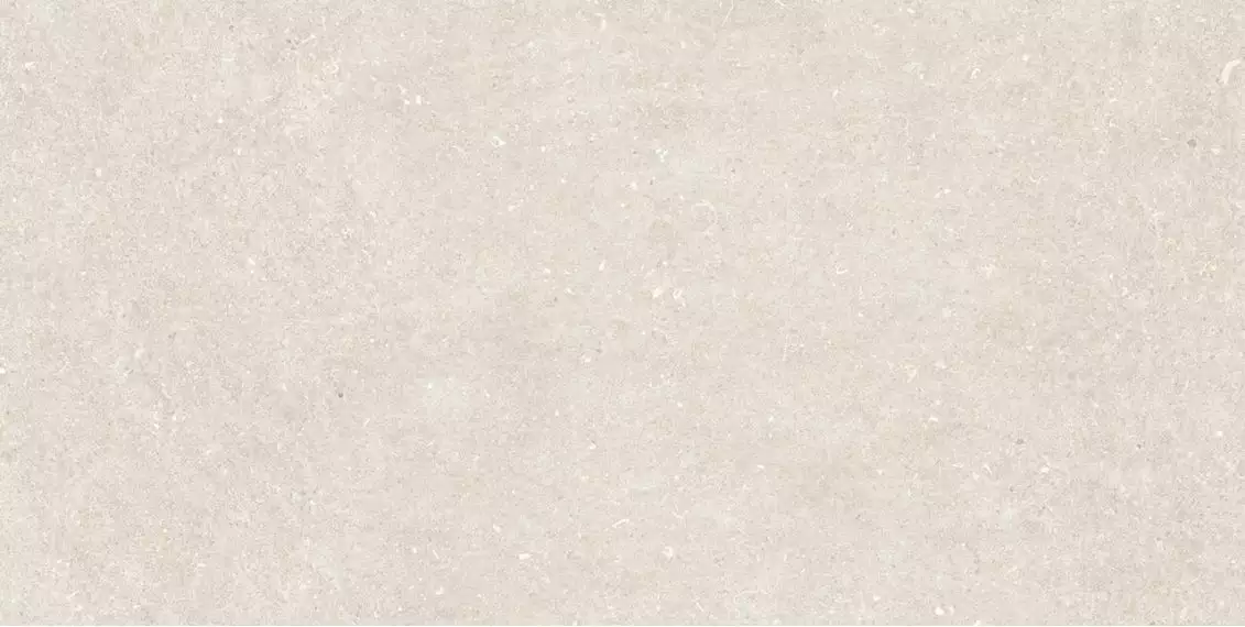 Vincen White 60x120
