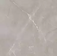 Vitrum Grigio матовый 60x60