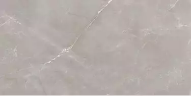 Vitrum Grigio полированный 60x120