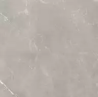 Vitrum Grigio полированный 60x60