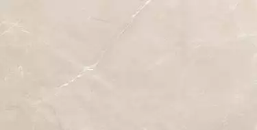 Vitrum Taupe полированный 60x120