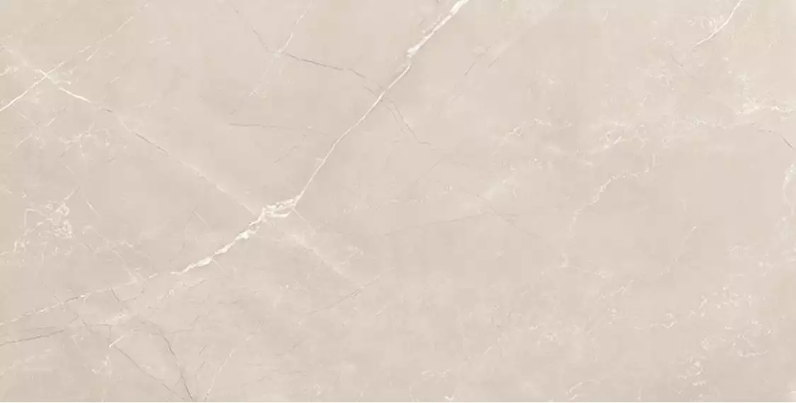 Vitrum Taupe полированный 60x120