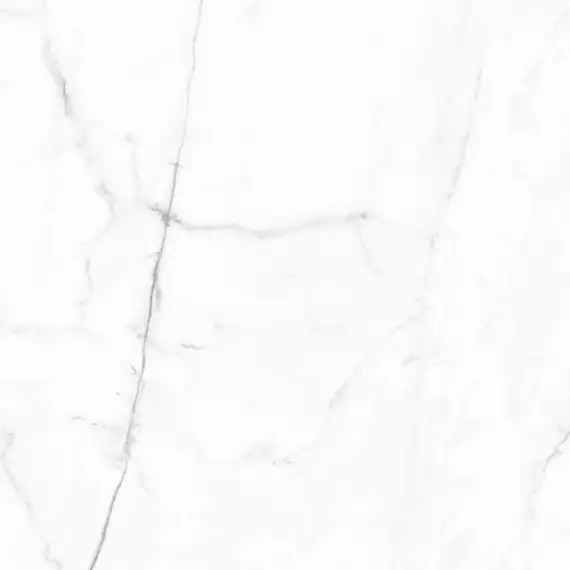 Vivid White Calacatta Pulido 59,55x59,55