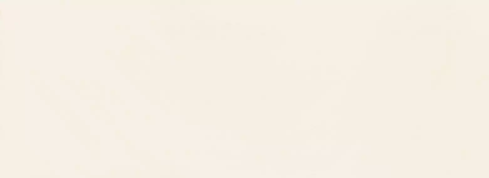 W-House of Tones white 32,8x89,8