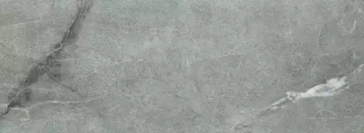 W-Organic Matt grey 32,8x89,8