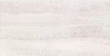 W- Artemon silver 30.8x60.8