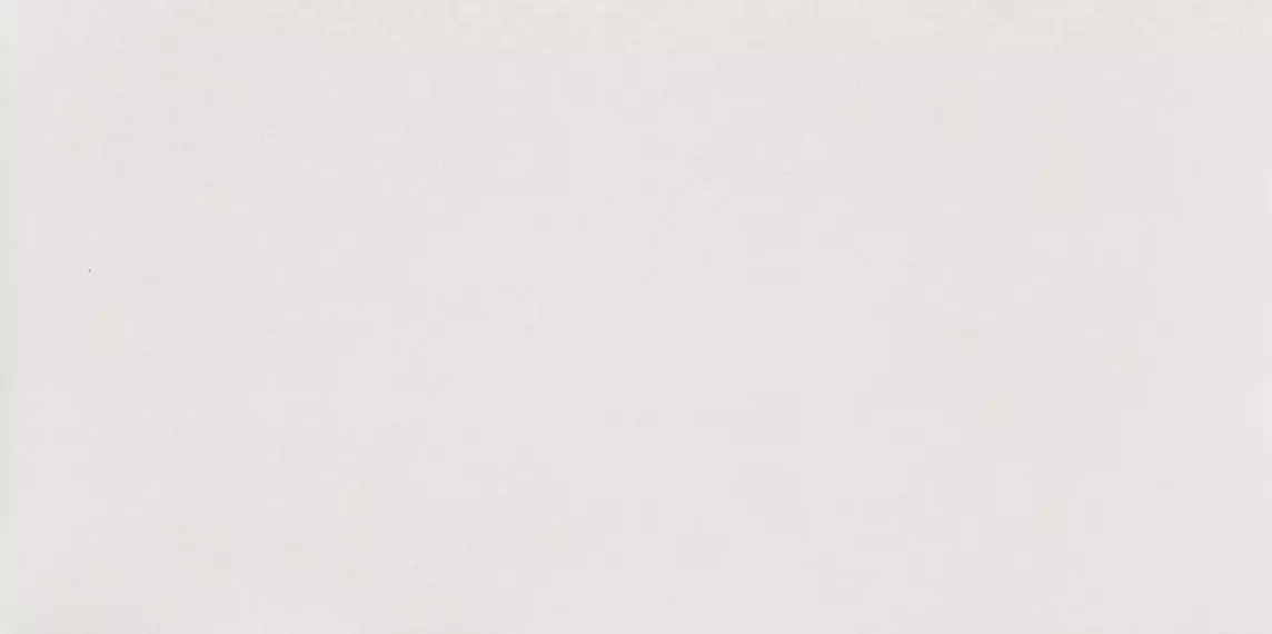 W- Reflection White 29.8x59.8