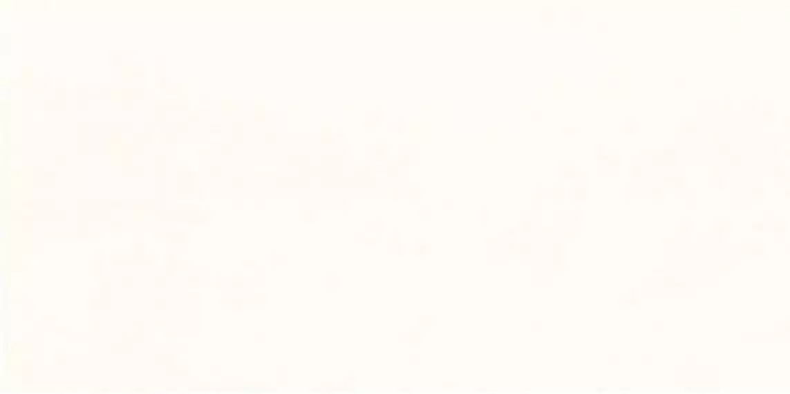 WADMB719 Extra 20x40