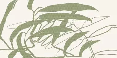 WADV4678 LINT green 30x60