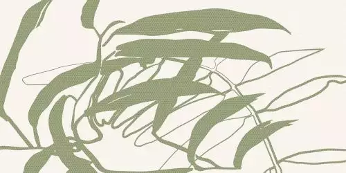 WADV4678 LINT green 30x60