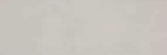 WADVE807 BLEND 20x60