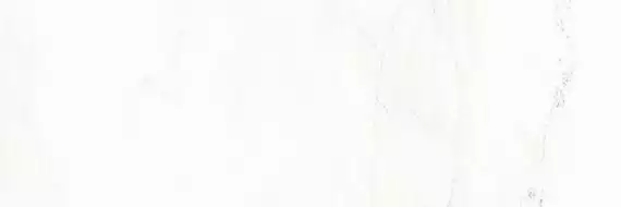 WAKV5233 Vein white matt 30x90