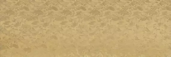 WALLPAPERS DC.WW.PGL.ST 300x100