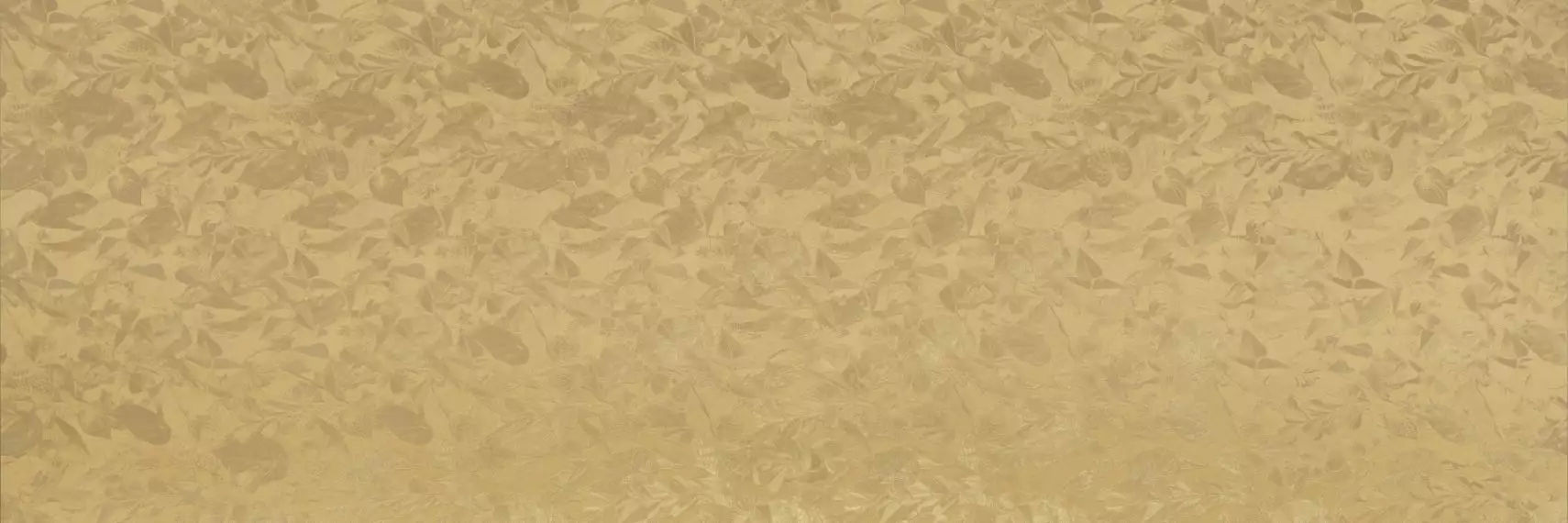 WALLPAPERS DC.WW.PGL.ST 300x100