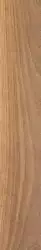 WALNUT TOBACCO RTT 20X120