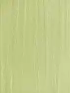 WARKB018 Remix green 25x33