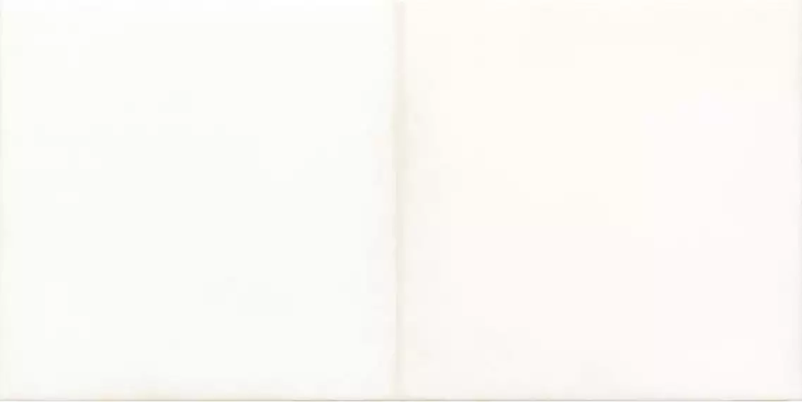 WARMB521 Retro White 20x40