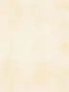 WATKB230 PATINA light beige 25x33