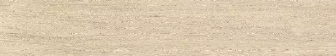 WD101 Керамогранит Solid Wood Matt 20x120