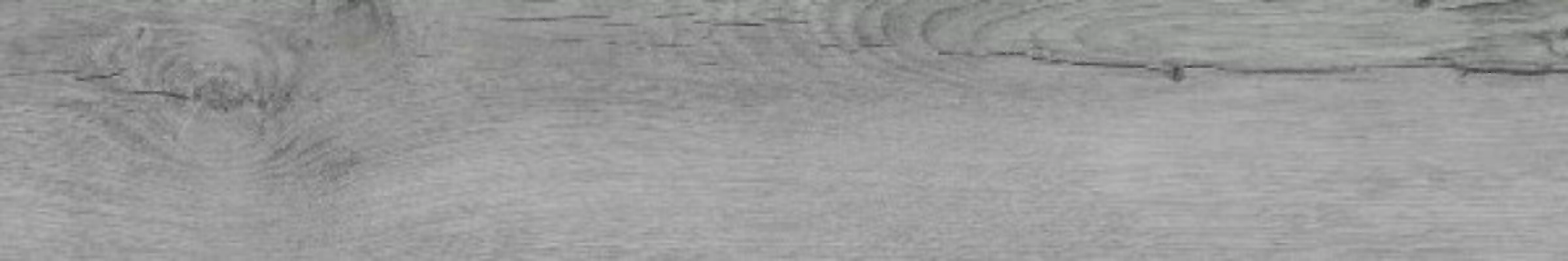 WFE19F42210A Forest Grey 20x120