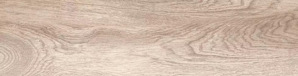 WGI25F41600A Select Silver матовый 15x60