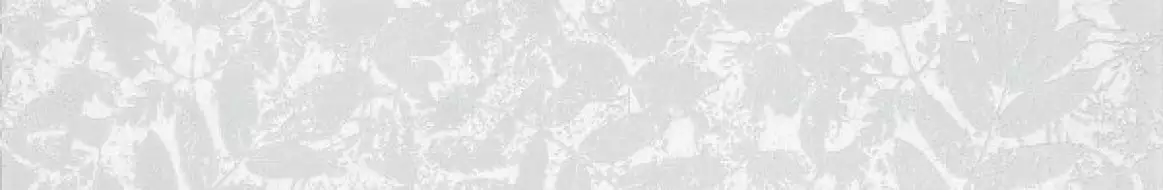 WLAS4568 Garda 9.5x60