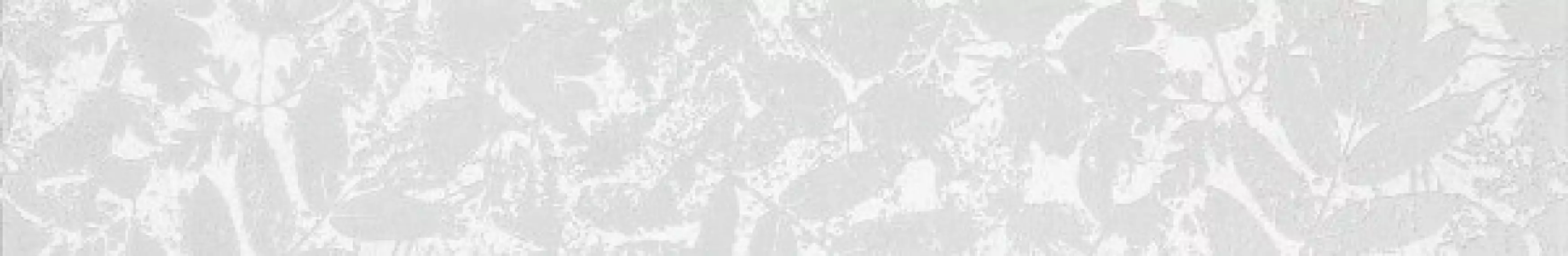 WLAS4568 Garda 9.5x60