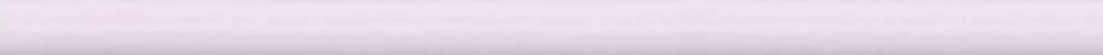 WLRMG064 бордюр сиреневый 2х40