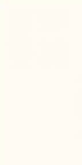 WONDERWALL TILES BLANC NATURAL 50x100
