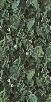 WONDERWALL TILES PRINTEMPS A+B NATURAL 50x100