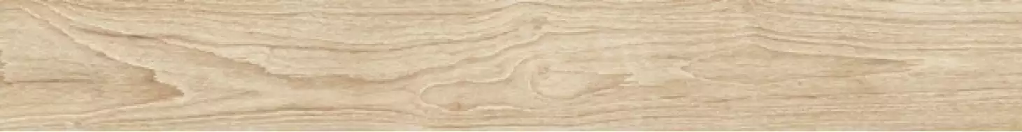 WOODLAND ATLANTIC 30x240